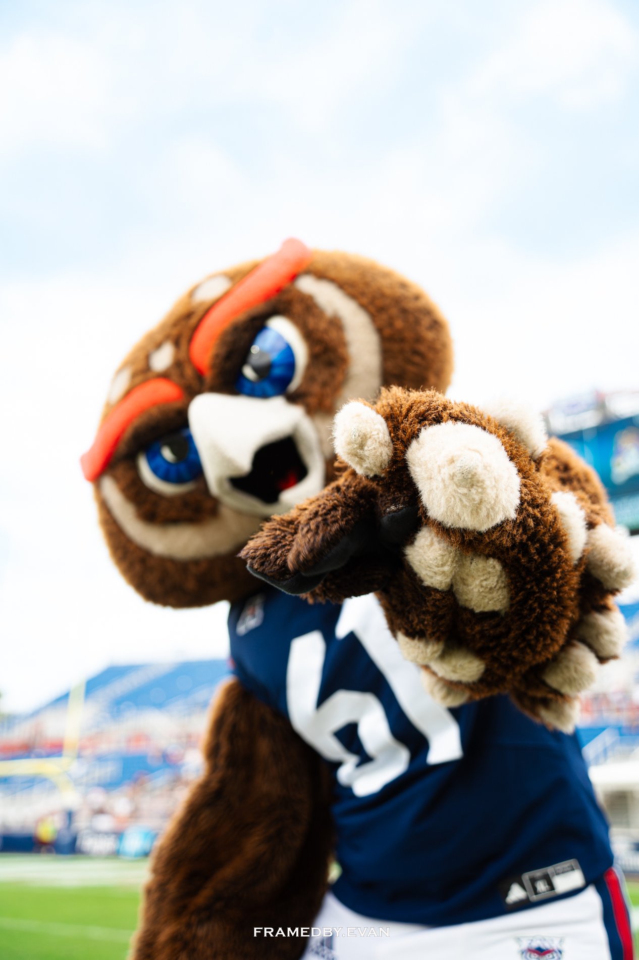 FAU FOOTBALL VS. ECU