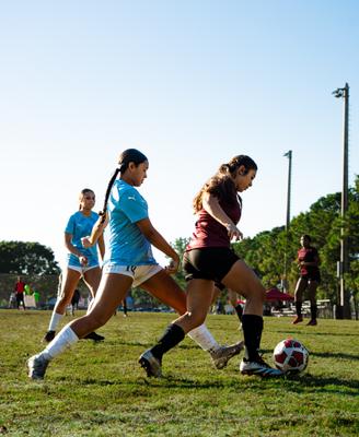dsc09682.jpg